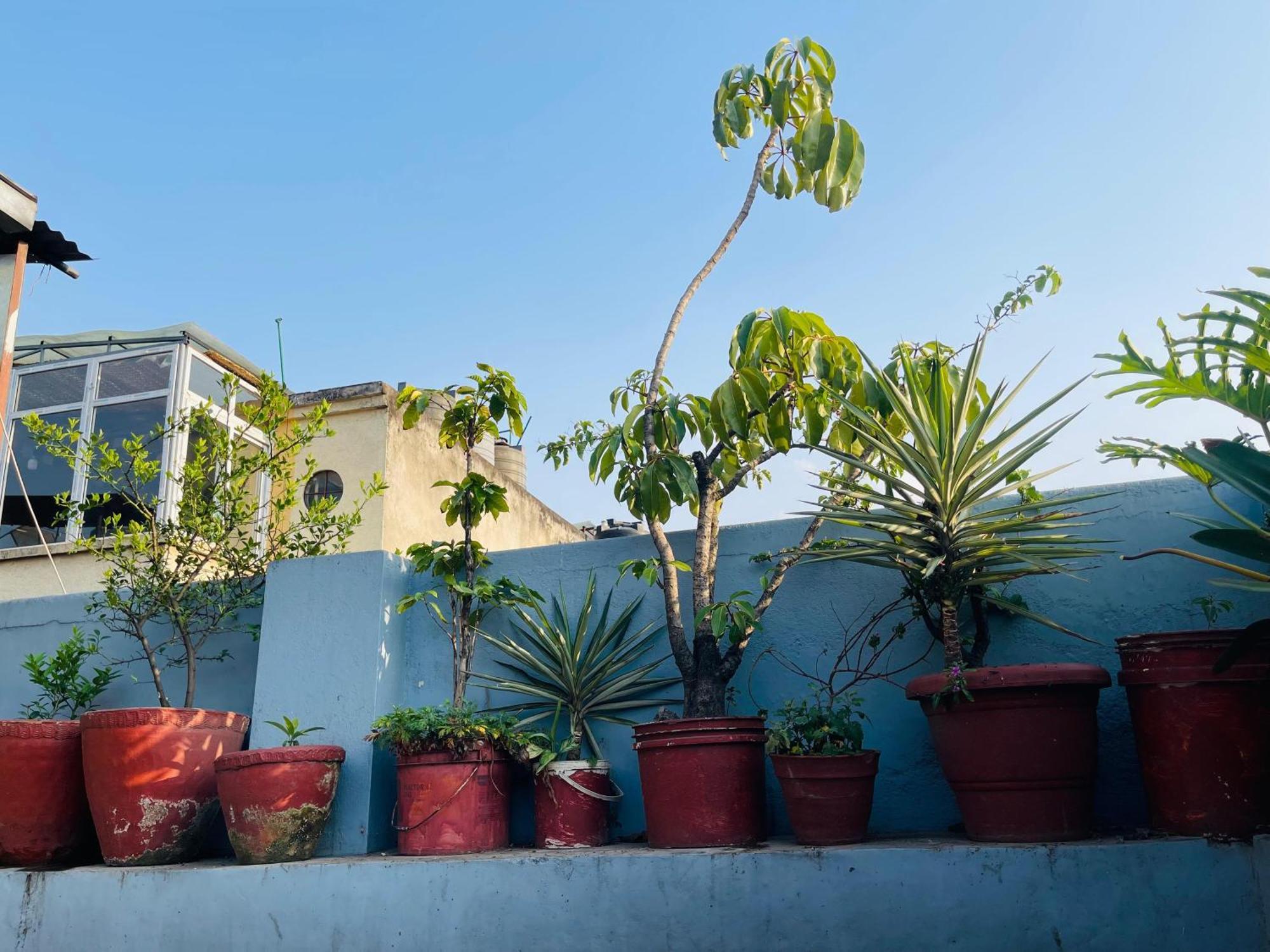 Holy Land Hotel Nepal Kathmandu Exterior photo