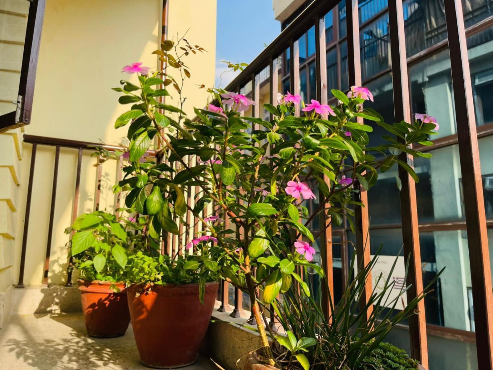 Holy Land Hotel Nepal Kathmandu Exterior photo